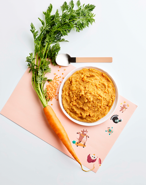 
                  
                    Dès 12 mois - Mon duo de carottes-lentilles corail et bœuf (10 x 220g)
                  
                